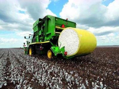 2022年黃河流域棉區棉花前期生產技術指導意見