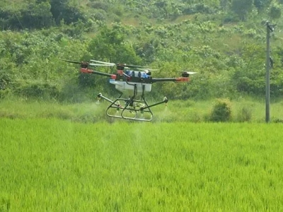 植保机械发力！农业农村部部署早稻病虫防控！