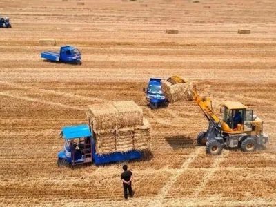 目标已定！“两利用”相关农机装备在安徽将爆发！