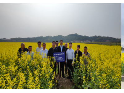 农机化司指导组赴湖南四川开展油菜机械化移栽跟踪指导