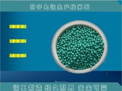 生菜种子丸粒化 大型丸粒生产线 种子丸粒化加工