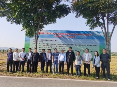 湖北省市专家组来浠对水稻“双早双直播全程机械化”示范区测产验收