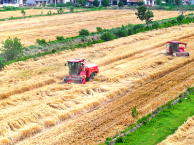 江苏省农业农村厅关于农业机械专项鉴定大纲的公示