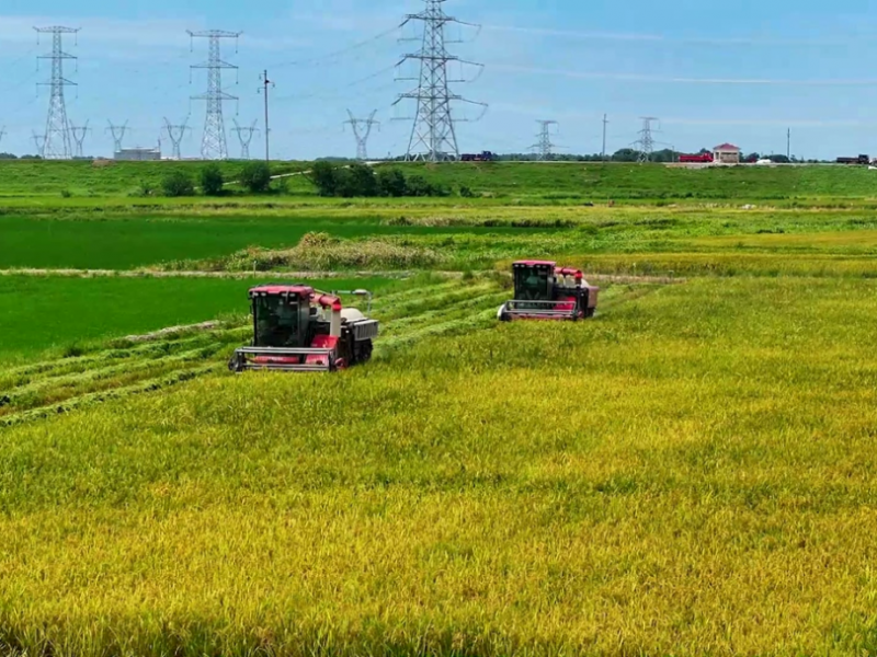 吉林省2024—2026年農(nóng)機(jī)購(gòu)置與應(yīng)用補(bǔ)貼機(jī)具投檔工作的通知