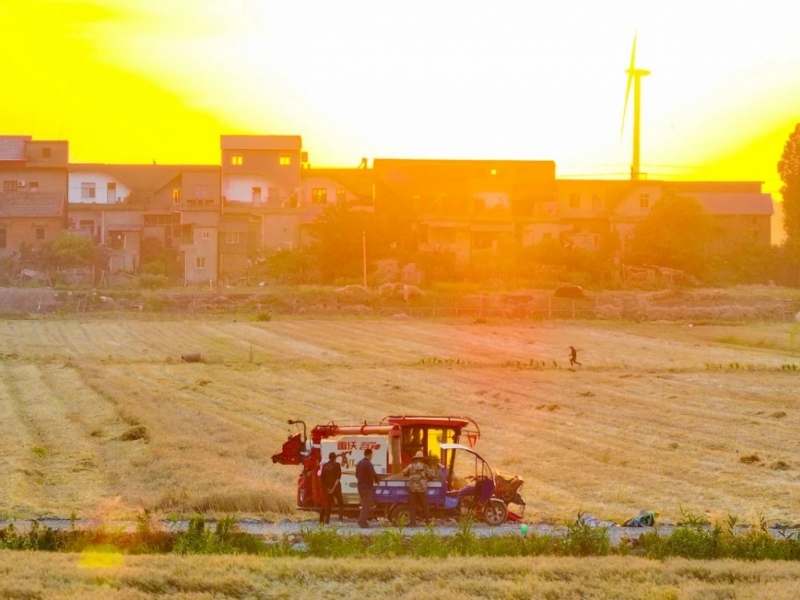 四川省提前下达2025年粮油生产保障等七项中央和省级农业转移支付资金的通知