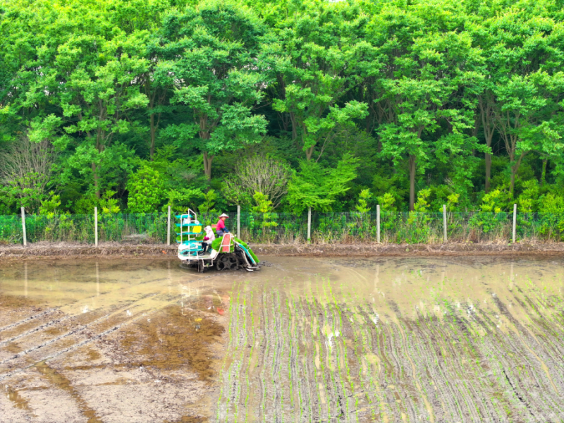 山東關于恢復合肥美亞光電技術股份有限公司有關產品補貼資格的通知